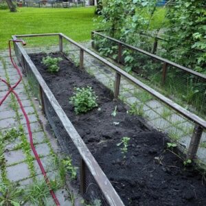 прополка клумб и рыхление почвы