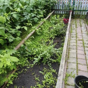 прополка клумб и рыхление почвы