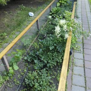 прополка клумб и рыхление почвы