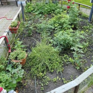 прополка клумб и рыхление почвы