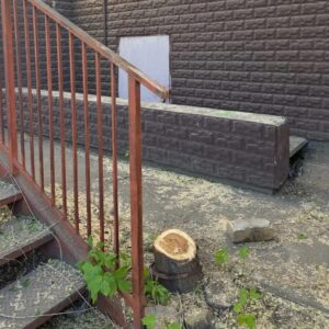 обрезка и спил деревьев